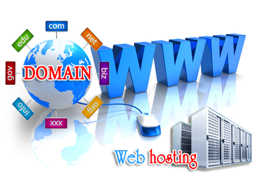 Domain & Server Hosting